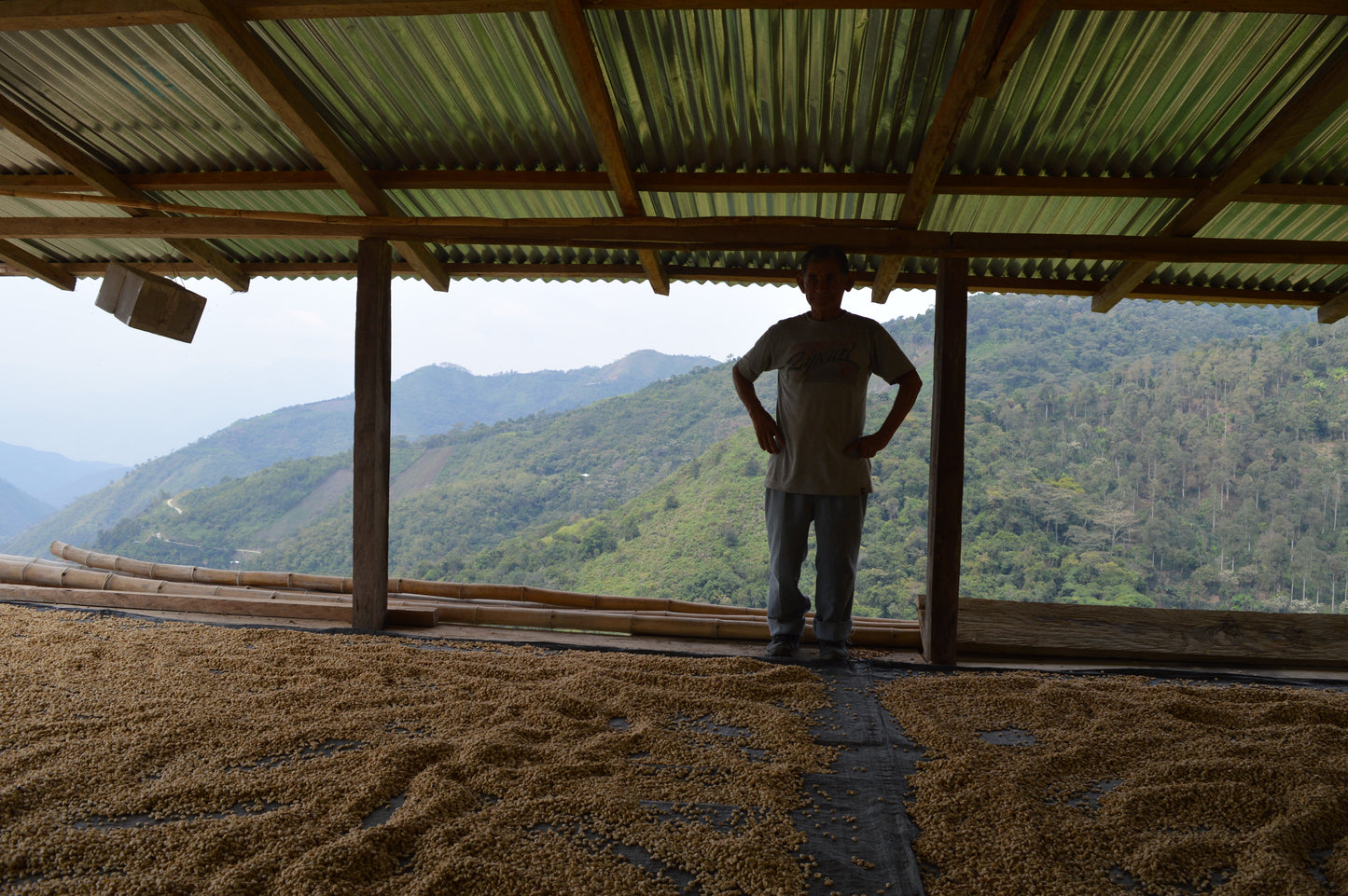 CENFROCAFE Peru Honey Huabal Premium Lot Series